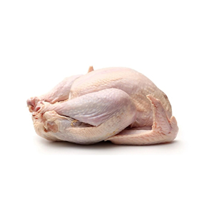 DINDE ENTIÈRE HALAL CONGELÉE/TURQUIE | DINDE ENTIÈRE CONGELÉE TRANSFORMÉE - Product Image 6