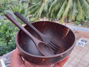 Cuenco de cáscara de coco liso natural Vietnam 100% para restaurantes y hoteles utensilios de cocina ecológicos - Product Image 2