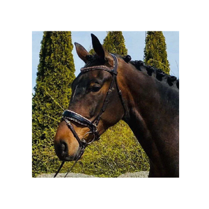 Brida para Caballo de Cuero Negro Charol de Alta Calidad, Nuevo Diseño a Precio Competitivo, Productos Plegables para Caballos - Product Image 1