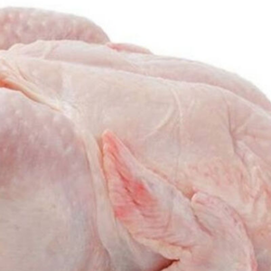 POLLO ENTERO CONGELADO ENTERO HALAL DE ALTA CALIDAD POLLO ENTERO CONGELADO HALAL POLLO ENTERO CONGELADO MEJOR TARIFA - Product Image 4