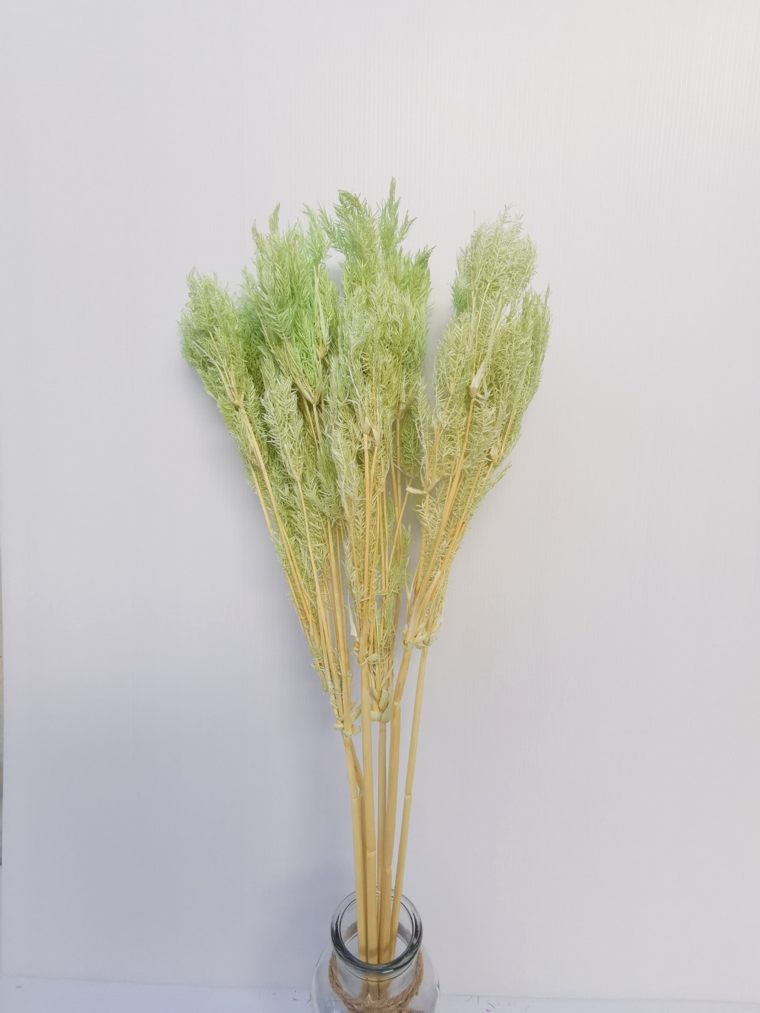 Vert clair
