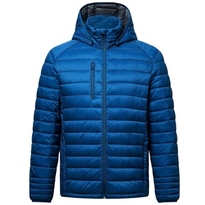 Chaqueta acolchada de exterior informal y ligera al por mayor, chaqueta acolchada de invierno impermeable personalizada con cuello con capucha, chaqueta acolchada 2026 - Product Image 1