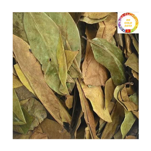 Feuilles de Graviola séchées de haute qualité, vente en gros au Vietnam, pour le thé de corossol - Product Image 1