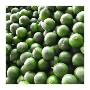 Lima verde fresca de Vietnam/limón de alta calidad sin semillas/100% cítricos agrios naturales con sabor auténtico - Product Image 1