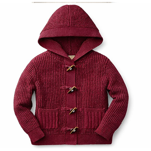 Sudadera con Capucha de Primera Calidad para Niños, Cárdigan de Algodón Puro, Cómodo, Grueso, Bordado Invernal, Antibolitas, Transpirable, Cárdigan para Niños - Product Image 5