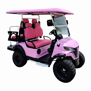 Voiture de golf utilitaire de luxe à 4 places, tout-terrain, au lithium 48V, rose, fabrication américaine, OEM, bricolage - Product Image 2
