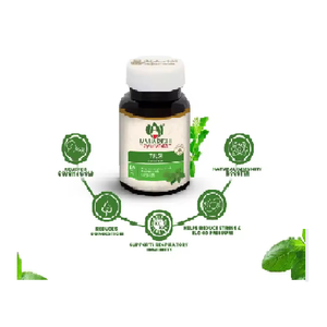 Tabletas de Tulsi orgánicas de la mejor calidad para suplementos nutricionales respiratorios Personalización Etiqueta privada - Product Image 6