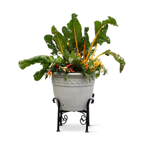 Meilleure vente de support de jardinière noir en métal pour jardin, maison, restaurant, hôtel à bas prix - Product Image 1