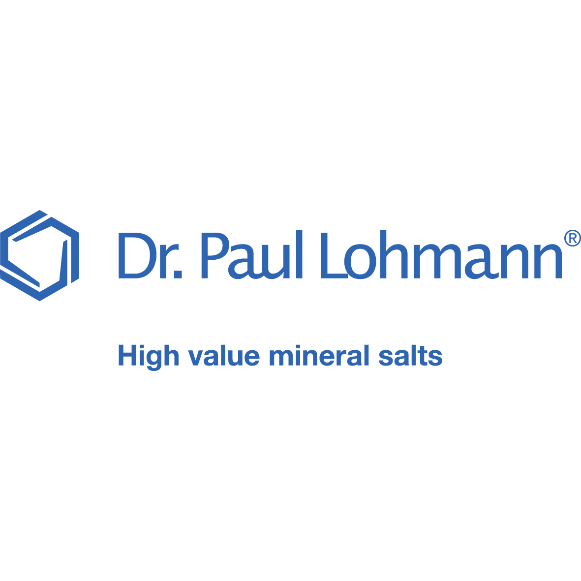 Dr. Paul Lohmann GmbH & Co. KGaA logo