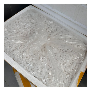 แป้งฝุ่นเวียดนามคุณภาพสูงที่มีผิวเรียบเนียนและไม่มีสิ่งสกปรกใช้ในอาหารเบเกอรี่และสูตรอาหารสำเร็จรูป - Product Image 6