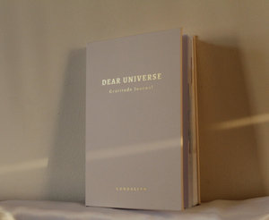 LABON Ecológico Querido Universo Gratitud Planificador de objetivos Bienestar Diario Semanal Diario Regalo - Product Image 6