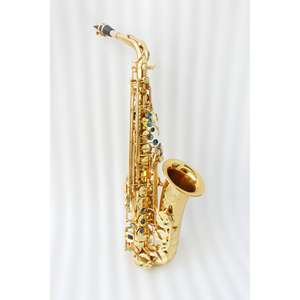 Saxophone Alto à vent OEM <span class=keywords><strong>Saxofon</strong></span> Saksofon Saksafon étui pour saxophone chinois embouchure couleur Mib tonalité Eflat jaune cuivre laiton - Product Image 1