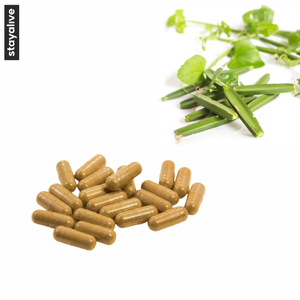 Capsules d'extrait de Cissus Quadrangularis | Supplément Cissus Quadrangularis | 60,90,120 Capsules | Sans OGM, Sans Gluten - Product Image 4