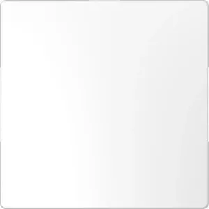 Inserto/Copertura MTN4075-6035 per Tecnologia di Comunicazione Schneider Electric per Comunicazione e Networking - Product Image 1