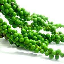 Semillas de pimiento verde enlatadas de exportación al por mayor pimienta verde en salmuera a buen precio - Product Image 3