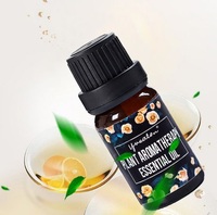 Huile Essentielle d'Aromathérapie 10ml Sans Alcool pour Diffuseur Humidificateur Diffuseur à Bâtonnets Parfums Personnalisés Vente en Gros Usine