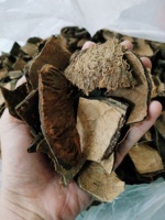 Coquilles de noix de coco brutes du Vietnam fiables pour les entreprises de décoration artisanale, les producteurs de charbon de bois et l'importation en gros