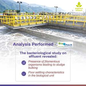 บำบัดน้ำเสียทางชีวภาพ - Product Image 4