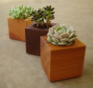 RUSTIQUE pot de fleurs en bois souhaitant bien jardinière arrière-cour décor de jardin créatif jardinières en bois écorce pots de fleurs jardin - Product Image 2