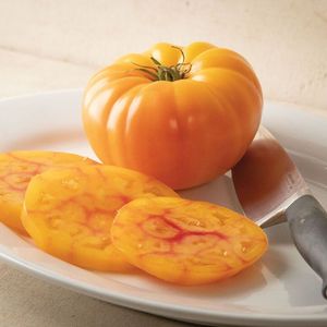 Chất lượng tốt nhất chanh cậu bé cộng với <span class=keywords><strong>F1</strong></span> Lai hạt giống Cà chua cao-năng SuấT ngọt ngào Vàng loạt tăng cường khả năng kháng bệnh tươi cà chua - Product Image 3