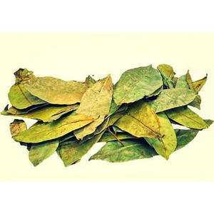 100% guanábana seca orgánica genuina hojas sueltas hierba graviloa fresca para bebidas naturales semillas de frutas almacenamiento congelado - Product Image 3