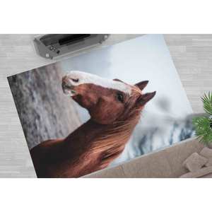 Tapis imprimé : Petit, d'appoint, pour salle à manger, entrée, motif cheval, style ferme, animalier, sauvage, décoration de salon, cadeau, tapis en chenille - Product Image 4