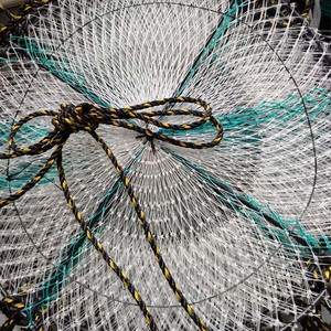 PE biển cuộc sống vỏ cứng hàu sò điệp nuôi trồng thủy sản Lồng nồi Câu cá lưới cua bẫy - Product Image 4