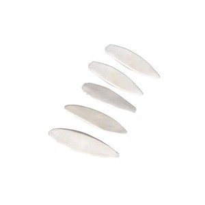 กระดูกปลาหมึกแช่แข็งที่อุดมด้วยแคลเซียมมีประโยชน์ต่อสุขภาพของนก - Product Image 1