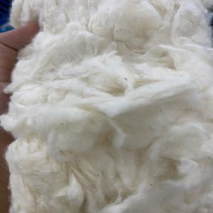 Coton peigné non filé blanchi, matériau de remplissage, antibactérien, respirant, écologique, coton brut (Mme Xavia +84 333371330) - Product Image 3