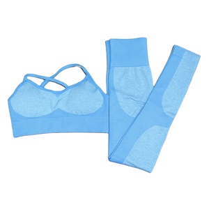 New 2-Piece Seamless Workout Set for Women-Sports Bra & Leggings Eco-Friendly Breathable Gym Clothing - Product Image 5