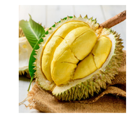 Heetverkopende verse durian uit Vietnam - Premium kwaliteit, hoog pulpgehalte, ideaal voor groothandelsbestellingen