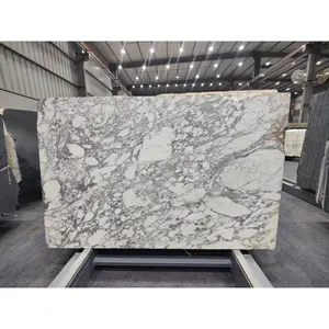 Dalle de marbre Arbescato naturel au design moderne Calcite d'intérieur pour villa, salon, salle de bain, poli, fendu dégringolé - Product Image 1