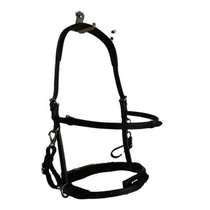 Brida Anatómica de Cuero Adams Tack Smart Horse de 12 mm con Cristales Ondulados, Diseño Novedoso, Cuero Genuino Puro, Personalizable - Product Image 1