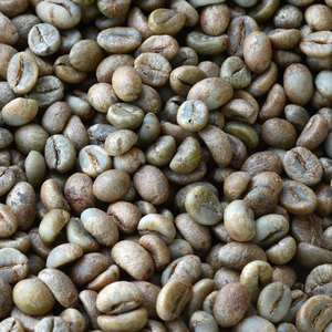Granos de Café Verde Robusta de Vietnam, Tamaño 16, Café Instantáneo Puro de Vietnam, Exportación a Granel, Proveedor de Café de Sabor Intenso - Product Image 2