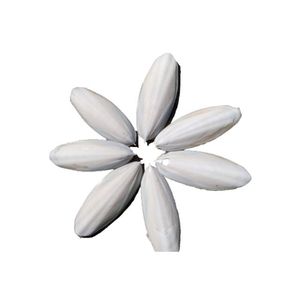 100% ก้างปลาจริงสำหรับนกแก้ว - Product Image 2