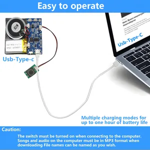 Mini tebrik kartı düğmesi kontrolü ses çipi tip C-USB kaydedilebilir müzik ses tebrik kartları için ses çipi ses modülü