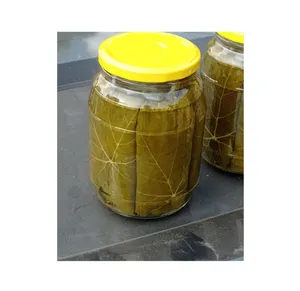 Trusted Exporter of Good Quality Wholesale Bulk Canned Vegetables Grape Leaves in Brine | Grape Leaves from Egypt
