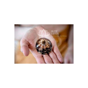 CÁSCARAS DE LÁMPARA NATURAL PARA EMBARAZADAS MEJOR VENDEDOR SHELL MUY RECOMENDABLE MUJER COMFORT MOM'S NIPPLE - Product Image 1