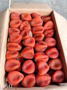 Vietnam Soft Dried Persimmon OEM Quality Cheap <b>Packaging</b> - Product Image 5