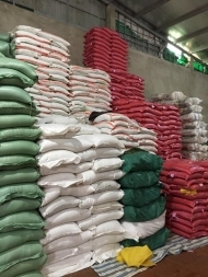 Noix de coco déshydratée de qualité supérieure du Vietnam, de qualité supérieure, blanche naturelle, ingrédient alimentaire, pâtisserie, durée de conservation de 12 mois, exportation - Product Image 6