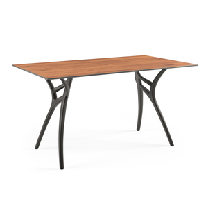 โต๊ะกลางแจ้ง IVY-L 80x140 ซม. - Product Image 6