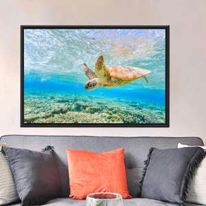 Art mural bleu océan : affiche sur toile imprimée avec une tortue marine nageant, 1P : encadré noir - Product Image 1