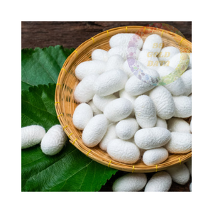 Capullos de seda cruda de Vietnam: alta calidad, precios bajos - Product Image 2