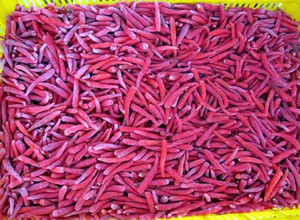 Chiles Rojos Congelados IQF – Chiles Rojos Congelados de Primera Calidad de Vietnam - Product Image 5