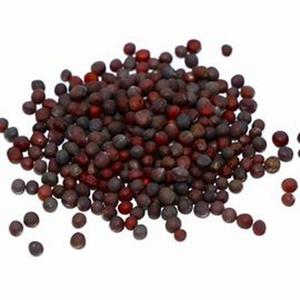 Livraison rapide de graines de colza séchées naturelles et biologiques d'Autriche avec une durée de conservation de 3 ans aux prix du marché - Product Image 1