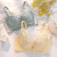 Soutiens-gorge sexy en dentelle pour femmes Soutien-gorge push-up à armatures Bralette à broderie Lingerie Soutien-gorge non rembourré Sous-vêtements féminins