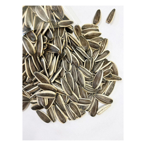 Premier exportateur de graines de tournesol blanches séchées et brutes de qualité supérieure pour achat en gros - Product Image 2