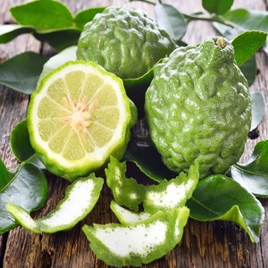 Huile essentielle de bergamote pure extraite de la peau de haute qualité - Product Image 4