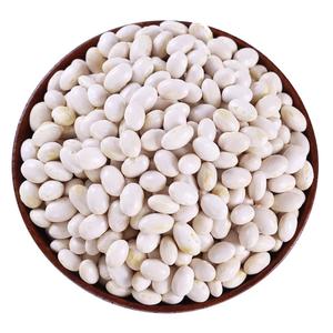 Haricots blancs biologiques naturels en gros / Grands haricots blancs égyptiens à vendre en Pologne - Product Image 1