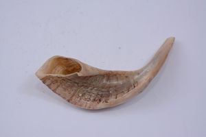 Shofar en corne de bélier naturelle de qualité supérieure, poli, instrument religieux juif, inspiré des artisans royaux, style animal, fabrication européenne sur mesure - Product Image 4